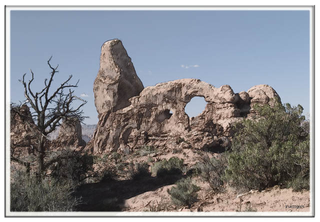 Ilse R�ttgers zeigt: Monatsbilder f�r 2007