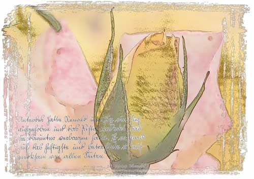 Ilse R�ttgers zeigt: Monatsbilder f�r 2007