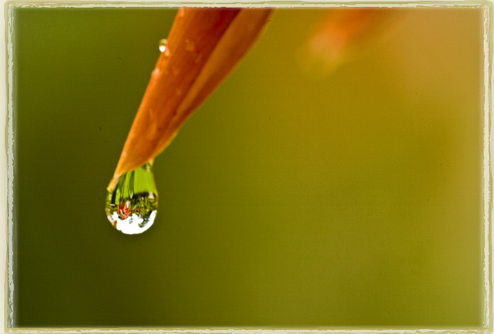 Ilse R�ttgers zeigt: Monatsbilder f�r 2008