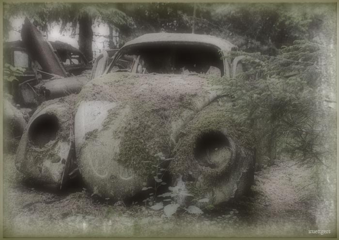 Ilse R�ttgers zeigt: Monatsbilder f�r 2008