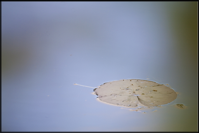 Ilse R�ttgers zeigt: Monatsbilder f�r 2009