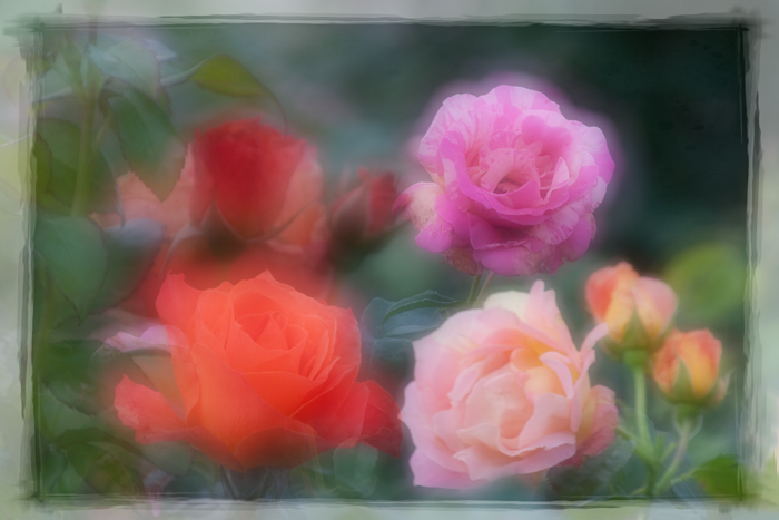 Ilse R�ttgers zeigt: Monatsbilder f�r 2009