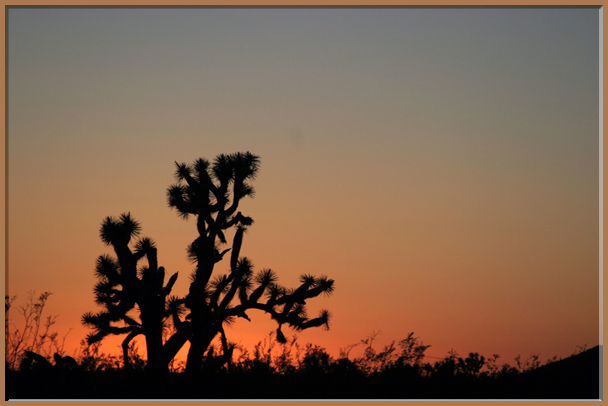 Ilse R�ttgers zeigt: Monatsbilder f�r 2009