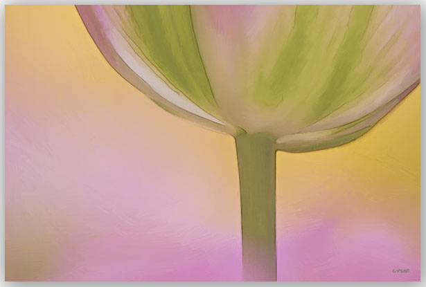 Ilse R�ttgers zeigt: Monatsbilder f�r 2010