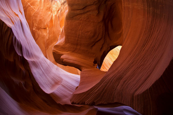 Ilse R�ttgers zeigt: Monatsbilder f�r 2011