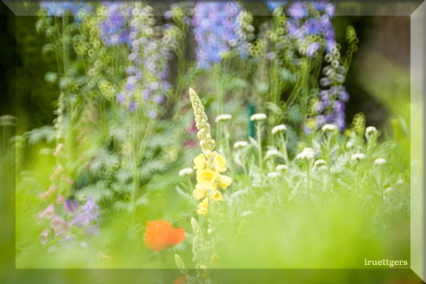 Ilse R�ttgers zeigt: Emil Nolde