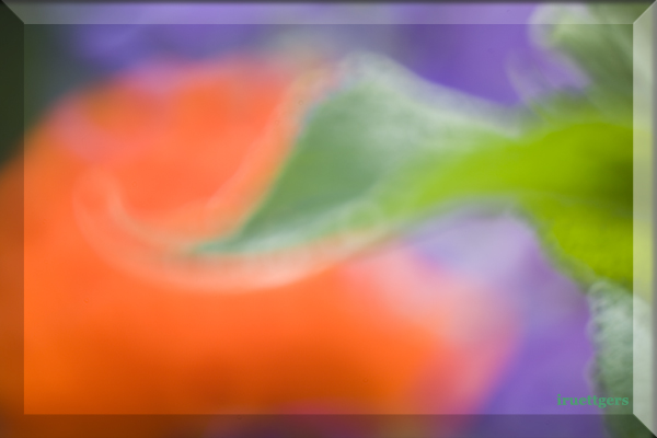 Ilse R�ttgers zeigt: Emil Nolde