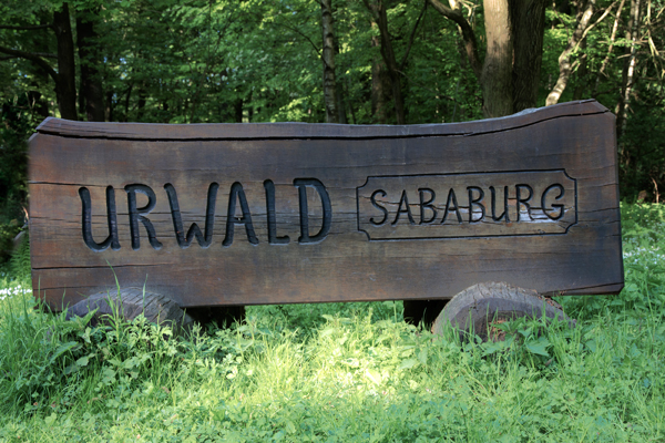 Ilse R�ttgers zeigt: im urwald