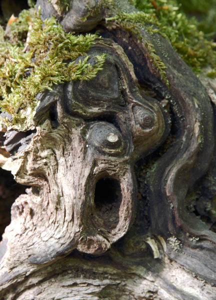 Ilse R�ttgers zeigt:der Schrei