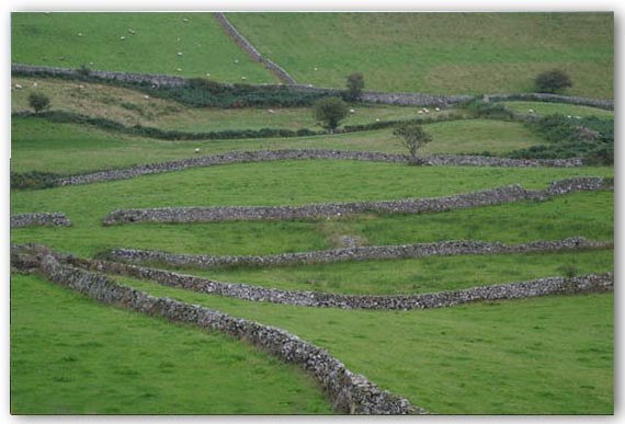 Ilse R�ttgers zeigt: Irland die gr�ne Insel