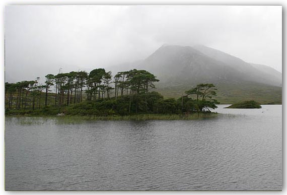 Ilse R�ttgers zeigt: Irland die gr�ne Insel