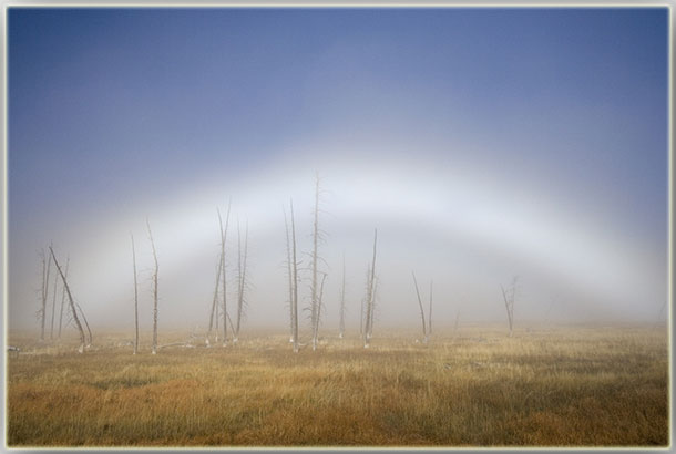 Ilse R�ttgers zeigt: Momente